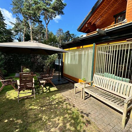 Houten Chalet/Bungalow In Het Bos, Sauna, Jacuzzi Meijel Exterior foto